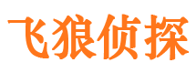 邱县市侦探调查公司